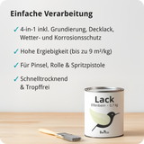 BERICO Acryllack: Der wasserbasierte Acryllack für dein Projekt