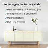 BERICO Holzfarbe: 4-in-1 Holzlack für Innen und Außen
