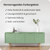 BERICO Holzfarbe: 4-in-1 Holzlack für Innen und Außen