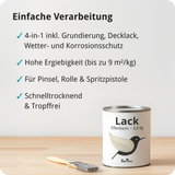 BERICO Lack: Der wasserbasierte Acryllack für dein Projekt