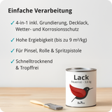 BERICO Lack: Der wasserbasierte Acryllack für dein Projekt