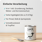 BERICO Lack: Der wasserbasierte Acryllack für dein Projekt