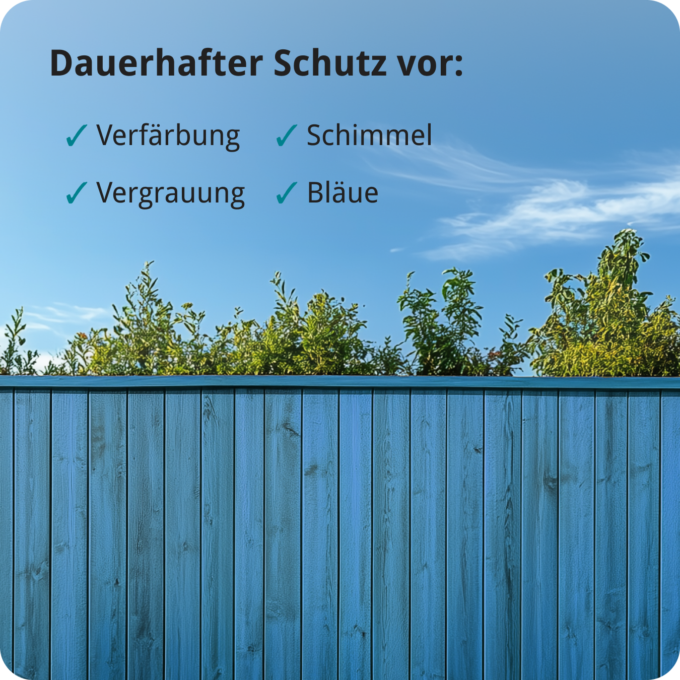 Berico Lasur - Der wetterfeste Holzschutz für Innen und Außen