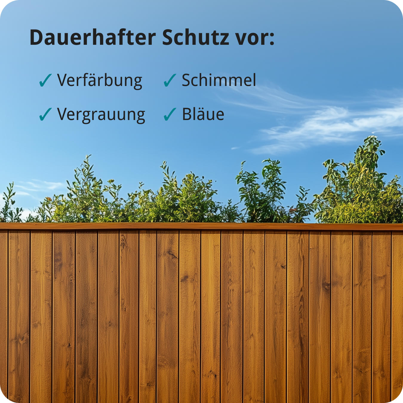 Berico Lasur - Der wetterfeste Holzschutz für Innen und Außen