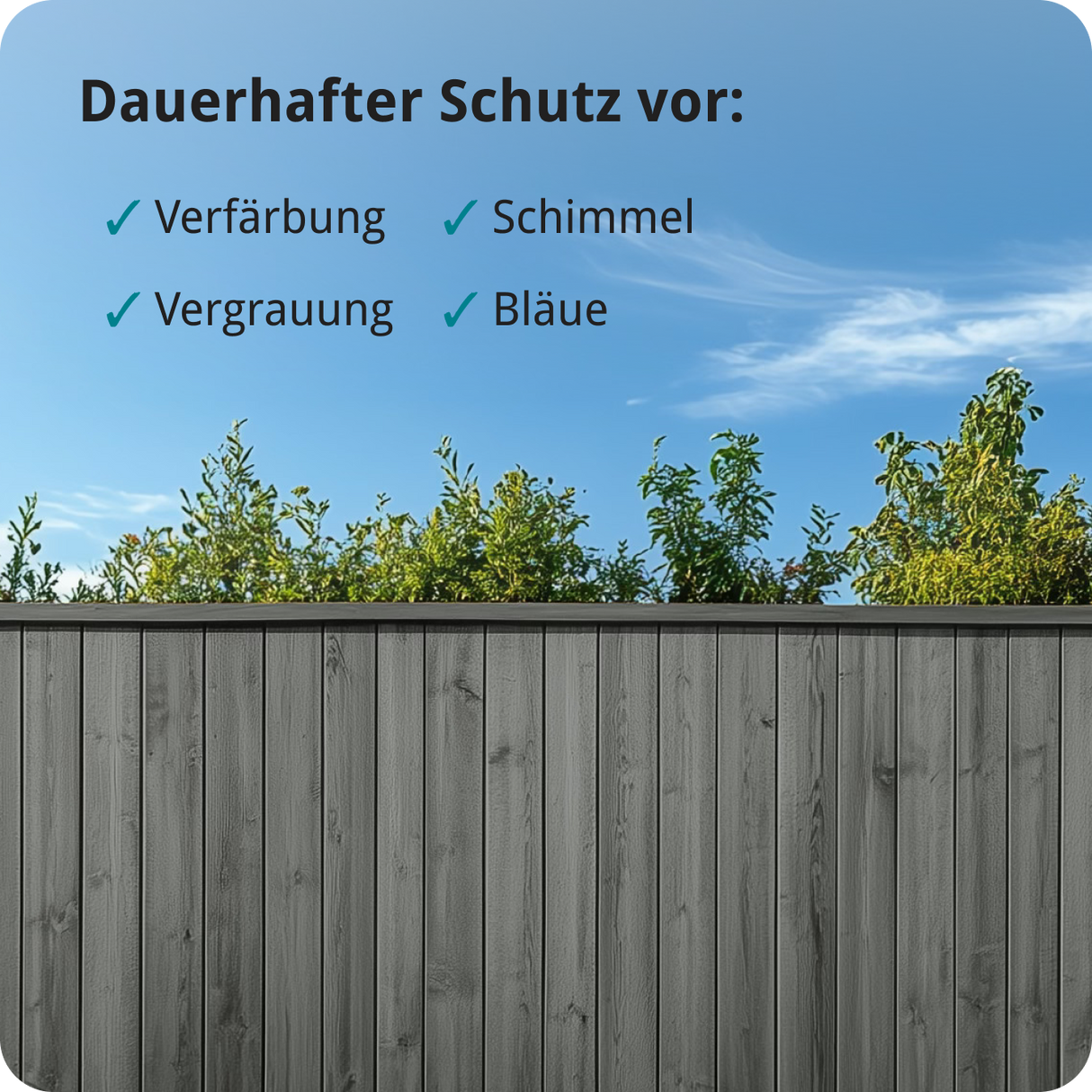 Berico Lasur - Der wetterfeste Holzschutz für Innen und Außen