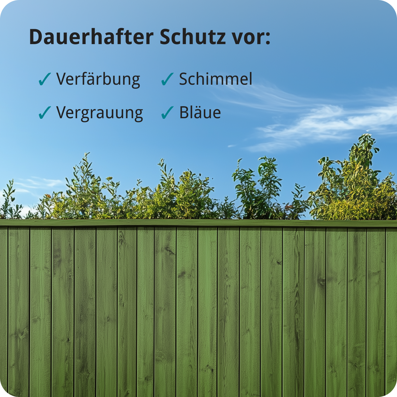 Berico Lasur - Der wetterfeste Holzschutz für Innen und Außen