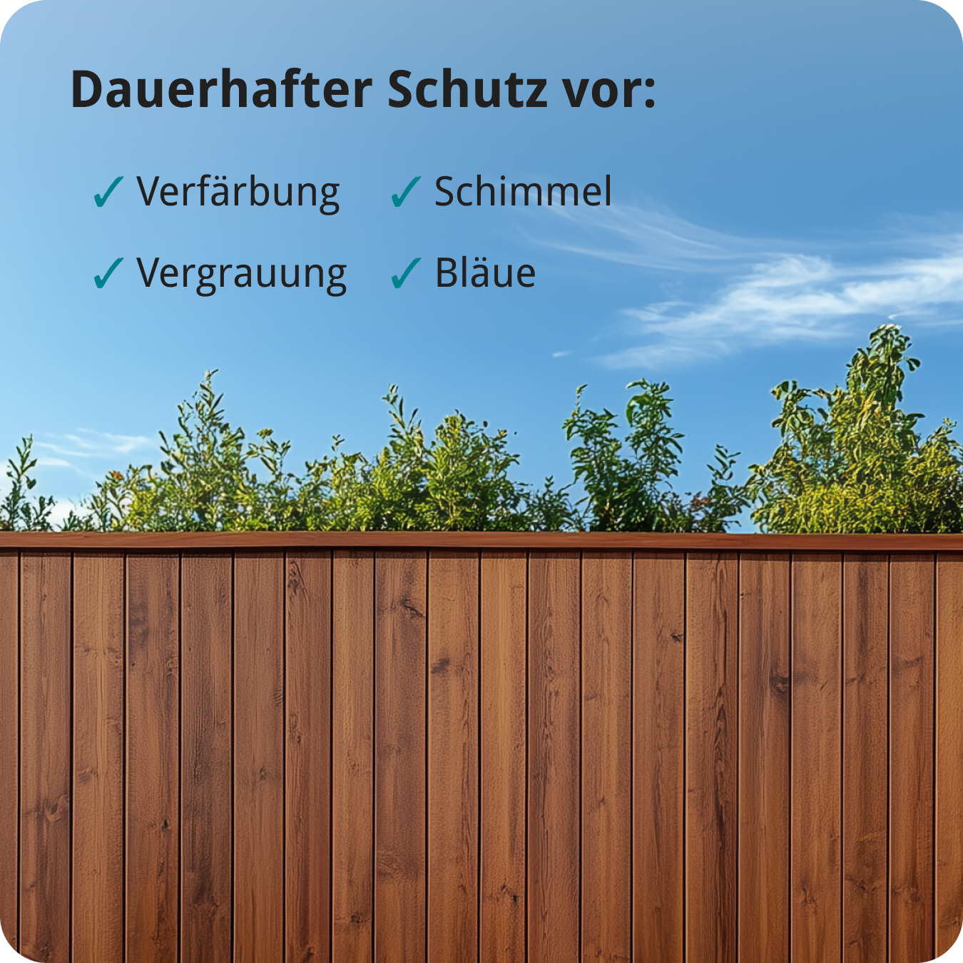 Berico Lasur - Der wetterfeste Holzschutz für Innen und Außen