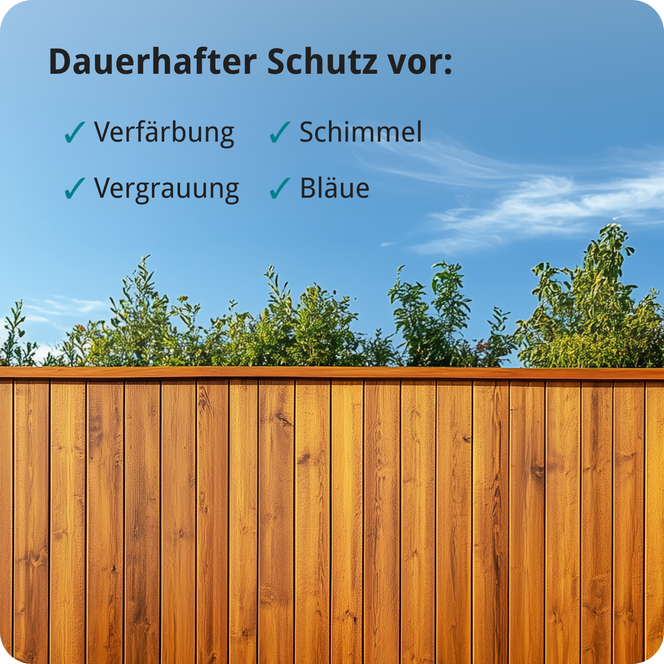 Berico Lasur - Der wetterfeste Holzschutz für Innen und Außen