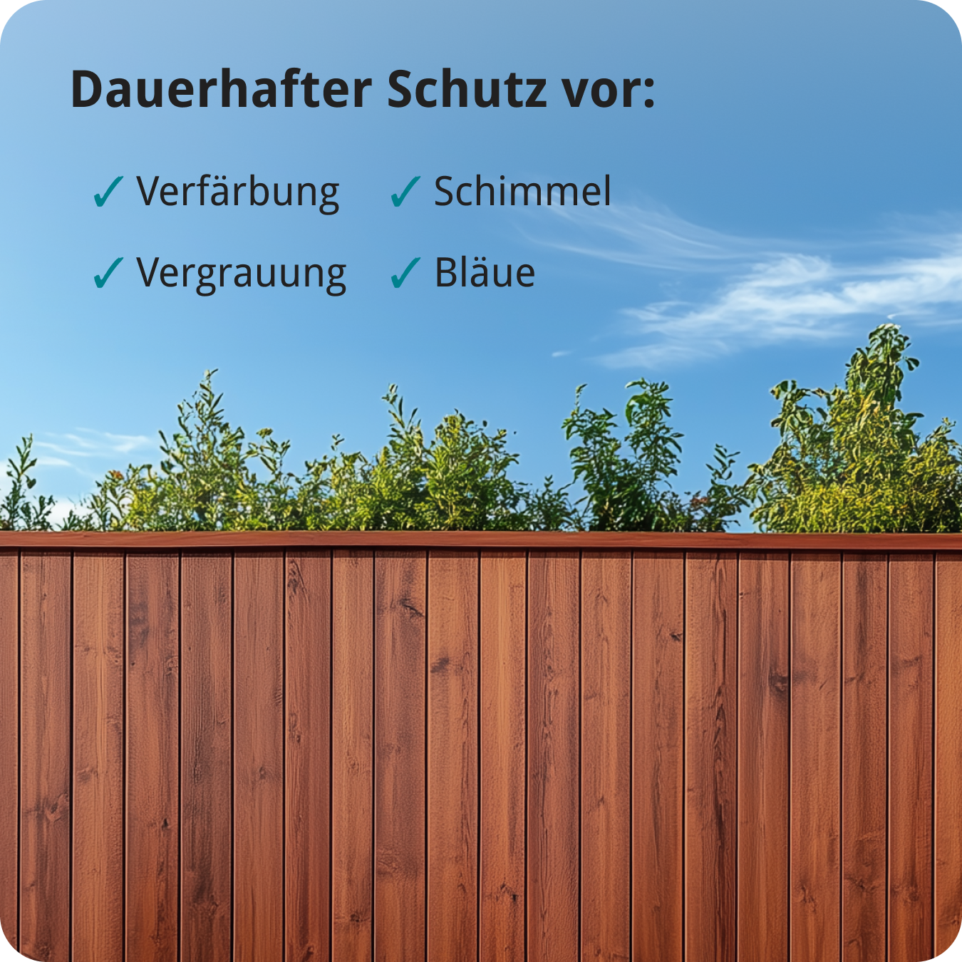 Berico Lasur - Der wetterfeste Holzschutz für Innen und Außen