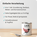 BERICO Lack: Der wasserbasierte Acryllack für dein Projekt