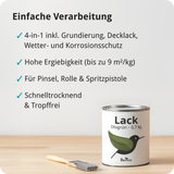 BERICO Lack: Der wasserbasierte Acryllack für dein Projekt