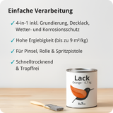 BERICO Lack: Der wasserbasierte Acryllack für dein Projekt