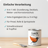 BERICO Lack: Der wasserbasierte Acryllack für dein Projekt