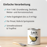 BERICO Lack: Der wasserbasierte Acryllack für dein Projekt