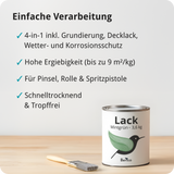 BERICO Lack: Der wasserbasierte Acryllack für dein Projekt