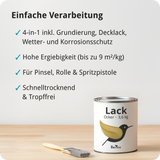 BERICO Lack: Der wasserbasierte Acryllack für dein Projekt