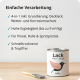 BERICO Lack: Der wasserbasierte Acryllack für dein Projekt