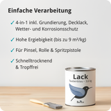 BERICO Lack: Der wasserbasierte Acryllack für dein Projekt