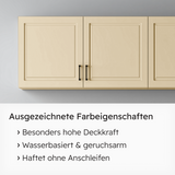 VITON Buntlack & Möbelfarbe HAE 30 - Vielseitig und Umweltschonend