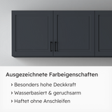 VITON Buntlack & Möbelfarbe HAE 30 - Vielseitig und Umweltschonend